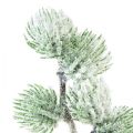 Floristik24 Ramo de larício artificial ramo decorativo verde com neve C25cm