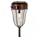 Floristik24 Lanterna solar para ligar, candeeiro LED Ø13,5cm L58cm A21cm
