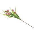 Floristik24 Flores artificiais bola flor allium cebola ornamental artificial rosa 45cm