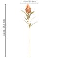 Flor artificial de Protea Leucadendron com haste longa, 65 cm, 3 peças | Floristik24.pt