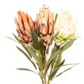 Flor artificial de Protea