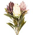 Floristik24 Flor artificial Protea Leucadendron 100cm 3 peças