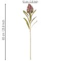 Flor artificial Protea Leucadendron 100cm 3 peças | Floristik24.pt