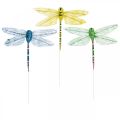 Floristik24 Decoração de verão, libélulas em arame, insetos decorativos amarelo, verde, azul W10.5cm 6pcs
