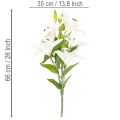 Lírios artificiais, 6 flores brancas, ramo florido realista, 66 cm | Floristik24.pt