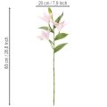 Flor de lírio artificial, flor de haste, decoração, 68 cm, 3 peças | Floristik24.pt