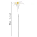 Flor de lírio artificial, branca, em arame, tamanho médio, 35 cm, 5 peças | Floristik24.pt