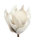 Floristik24 Flor de magnólia feita de espuma cinza, branco Ø10cm L26cm 4pcs