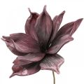 Floristik24 Flor de espuma roxa magnólia flor artificial Ø10cm 6pcs