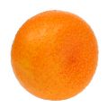 Floristik24 Mandarine Ø7cm laranja