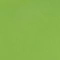 Floristik24 Papel de punho Maio papel de seda verde 37,5cm 100m