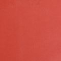 Floristik24 Papel punho flor papel lenço vermelho 25cm 100m