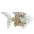 Floristik24 Decoração marítima peixe madeira peixe shabby chic 17×8cm