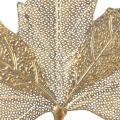 Floristik24 Antigo dourado 42cm do suporte de vela da folha de bordo da decoração da parede do metal × 39cm