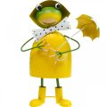 Floristik24 Figura decorativa de sapo decoração de jardim sapo de chuva metal H35cm