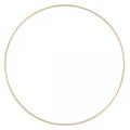 Floristik24 Anel de metal decoração anel Scandi anel deco loop dourado Ø25cm 4uds