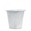 Floristik24 Vaso com enfeites, floreira, vaso de metal branco Ø15,5cm A14,5cm