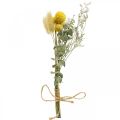 Floristik24 Mini buquê de flores secas boho, flores secas floricultura L22cm