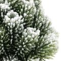 Floristik24 Mini árvore de natal em vaso nevado artificialmente Ø14cm H24cm