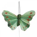 Floristik24 Mini borboleta em fio vermelho, verde 6,5cm 12uds