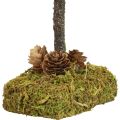 Mini árvore de Natal decoração de mesa árvore de musgo Alt.30,5cm