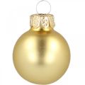 Floristik24 Mini bolas de natal vidro ouro Ø2.5cm 24pcs