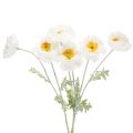 Floristik24 Papoula artificial branca, haste longa, 78 cm, 3 peças