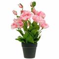 Floristik24 Papoila oriental, flor artificial, papoula em vaso rosa