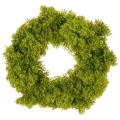 Floristik24 Coroa de musgo artificial, decorativa para mesa ou porta, 28 cm