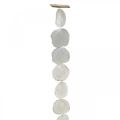 Floristik24 Guirlanda de Conchas Madrepérola Guirlanda de Conchas Capiz 195cm
