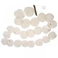 Guirlanda de Conchas Madrepérola Guirlanda de Conchas Capiz 195cm | Floristik24.pt