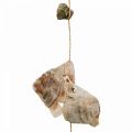 Floristik24 Guirlanda de conchas com pedras natureza 100cm