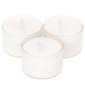 Floristik24 Luzes noturnas tipo tealight brancas em bandeja de plástico, 8 horas de duração, 50 unidades.