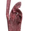 Floristik24 Mistura de madeira de chifre Natraj vermelha, caiada de branco 10 peças