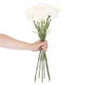 Cravo artificial com haste para buquês e coroas, 56 cm, 8 unidades | Floristik24.pt
