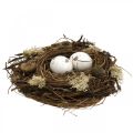 Floristik24 Ninho de páscoa com ovos de natureza artificial, decoração de mesa de páscoa branca Ø19cm