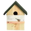 Floristik24 Caixa de nidificação casa de pássaro chapim azul madeira verde natural Alt.20,5cm