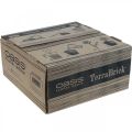 OASIS® TerraBrick™ plug-in composto compostável 8pcs