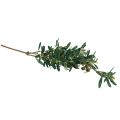 Floristik24 Ramo de oliveira artificial decorativo ramo de oliveira decoração 84cm
