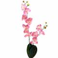 Floristik24 Orquídea Phalaenopsis rosa artificial 60cm