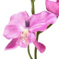 Floristik24 Orquídea Phalaenopsis artificial 6 flores roxas 70cm