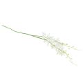 Floristik24 Orquídeas artificiais Oncidium flores artificiais brancas 90cm