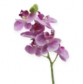 Floristik24 Orquídea com glitter, rosa 35cm