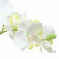 Floristik24 Orquídeas brancas em vaso de planta artificial Alt.35cm