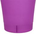 Floristik24 Vaso de orquídea plástico violeta Ø12,5cm Alt.14cm
