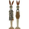 Floristik24 Pele de leopardo do coelhinho da Páscoa e óculos de madeira Tem um conjunto de decoração de Páscoa de 2