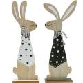 Floristik24 Coelhinho da Páscoa em preto e branco Decoração da Páscoa Figura de coelho de madeira conjunto de 2