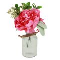Floristik24 Decoração de peônia no vaso decoração de mesa verão rosa 20cm