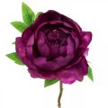 Floristik24 Paeonia, flor de peônia artificial Rosa Peonie Ø11cm L45cm