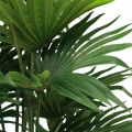 Floristik24 Palmeira decorativa em leque palma plantas artificiais vaso verde 80cm